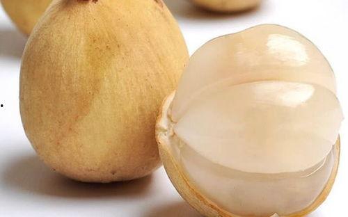 带你吃瓜奇葩包包,时尚界的独特风采