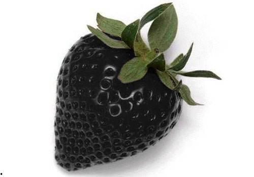 缅北吃瓜黑,一场网络舆论的风暴与反思