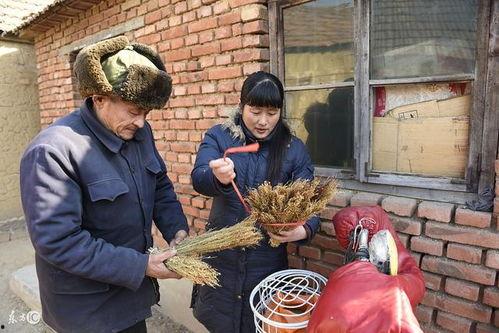 农村公婆吃瓜视频,揭秘农村生活趣味瞬间