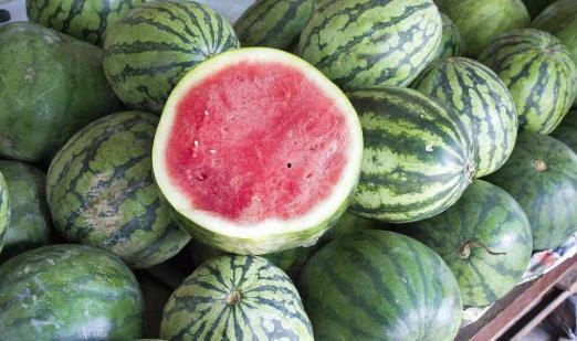 吃瓜放瓜的叫什么