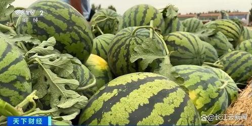 吃瓜热门大瓜每日更新,吃瓜群众必看！