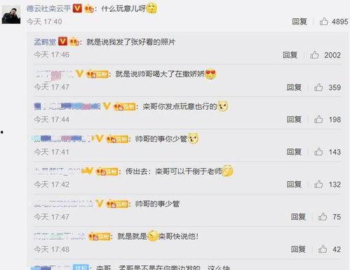 评论区吃瓜语音,揭秘网络热议背后的真相