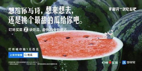 带你吃瓜文案,揭秘明星幕后故事