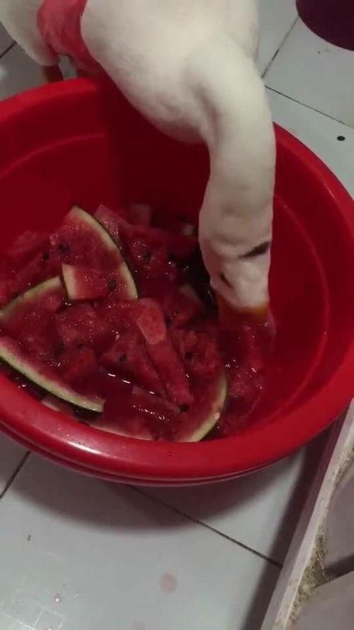 鹅妹吃瓜,揭秘娱乐圈那些不为人知的幕后故事