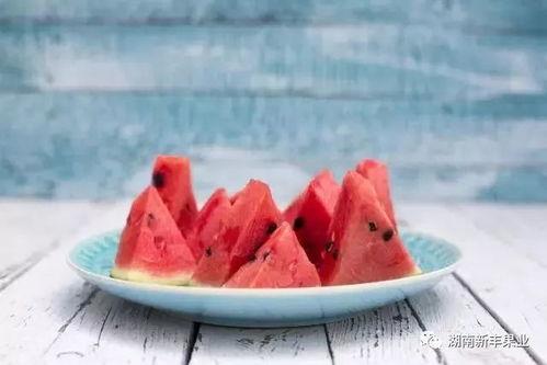 立秋啃瓜怎么吃,啃瓜新风尚，解锁秋季美味新吃法
