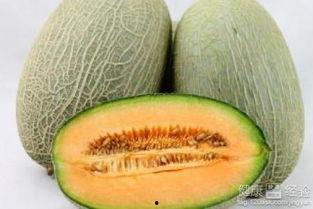 节目吃哈密瓜,哈密瓜盛宴，尽享瓜香四溢的美好时光