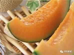 吃哈密瓜吃到拉链,一场甜蜜的“意外”之旅