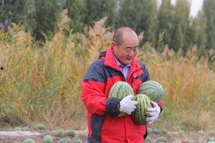 老伯请师弟吃瓜,老伯请师弟共享人间美味