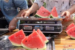 吃瓜的恶心视频,网络暴力下的道德沦丧