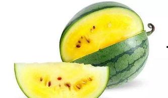 梦工厂在哪吃瓜,吃瓜群众的美食之旅