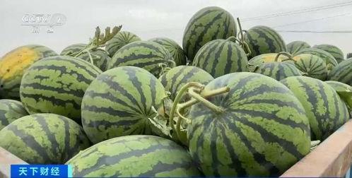 梦工厂在哪吃瓜,吃瓜群众的美食之旅
