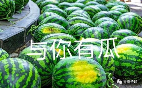 西安学院吃瓜,一瓜激起千层浪