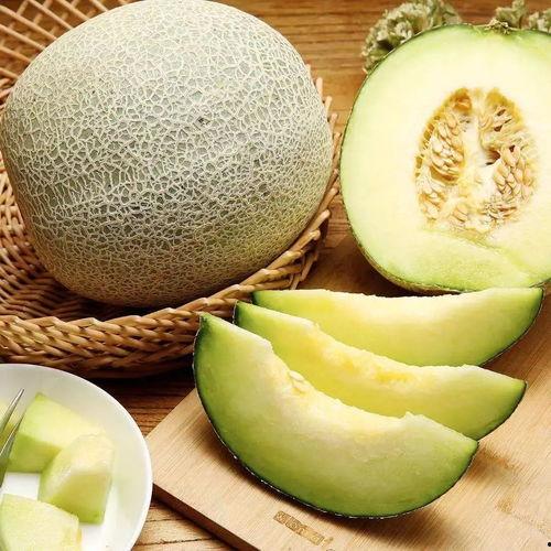 吃啥蜜瓜上火,吃啥蜜瓜易上火？揭秘夏日消暑蜜瓜食用指南