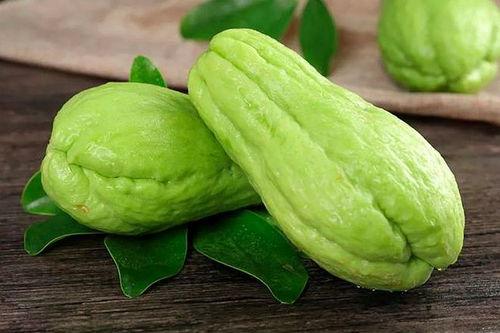 吃瓜菜的飞虫,揭秘吃瓜菜背后的神秘飞虫世界