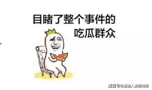 每天吃瓜天天哈哈,笑口常开生活记