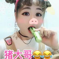 猪大哥吃瓜