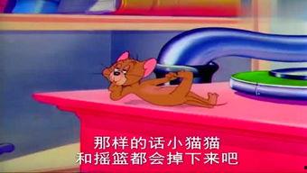 吃哈密瓜猫