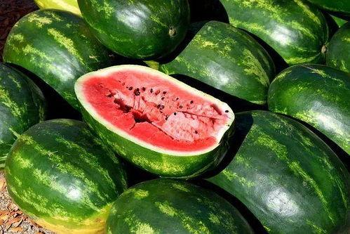 各种吃瓜食品图片