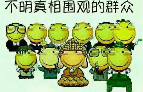 念汐吃瓜群众