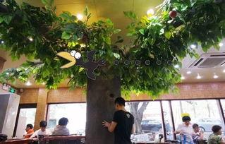 坐在树下吃瓜的