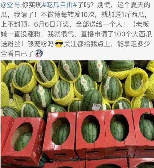 云南消防吃瓜