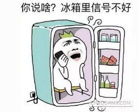 福清市吃瓜,瓜果飘香，品味生活