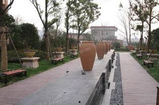 南通大学长椅吃瓜原视频,一场校园内的“瓜田”奇观