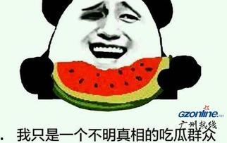 吃瓜剧情介绍,一场吃瓜者的奇幻冒险之旅
