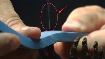 隐藏的吃瓜小能手