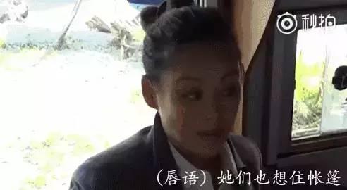 入戏吃瓜