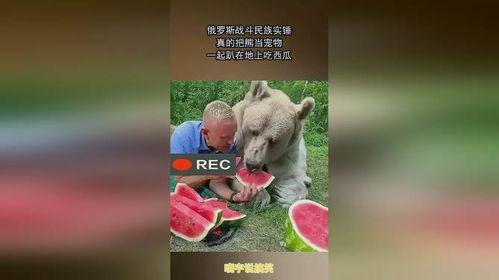 吃瓜在墙趴着,揭秘网络热议背后的真相