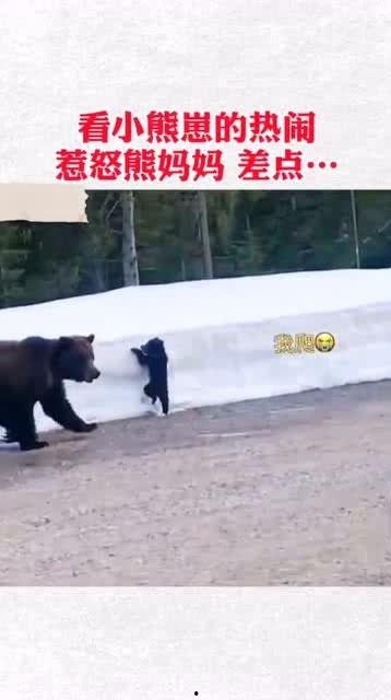 熊吃瓜视频,揭秘网络红人背后的故事