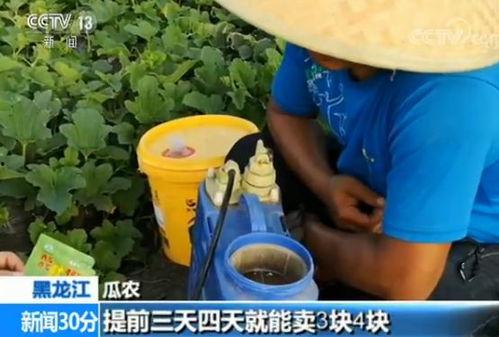 快穿嘎嘎吃瓜免费阅读,嘎嘎吃瓜，免费阅读之旅